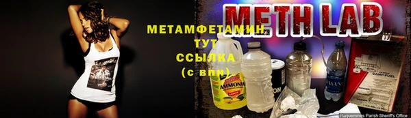 прущая мука Дмитриев