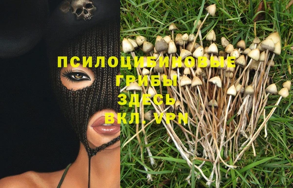 MESCALINE Баксан