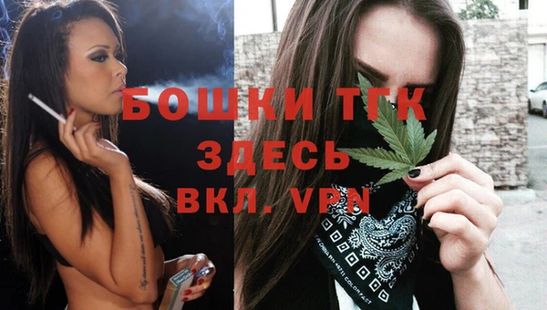 spice Тайга