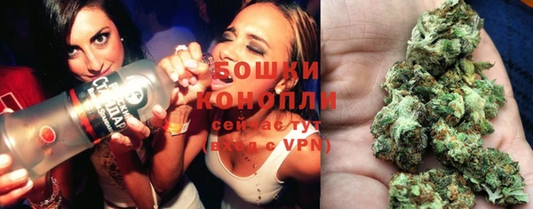 крисы Богородицк