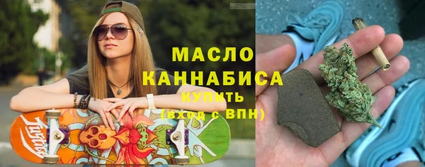 крисы Богородицк