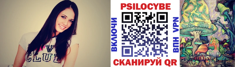Псилоцибиновые грибы Cubensis как найти Гаврилов-Ям